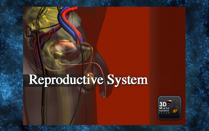 3D Reproductive System thumbnail 1