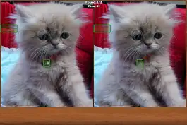 Game screenshot Cats Spot the Difference mod apk