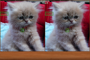 Cats Spot the Difference screenshot