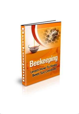 Beekeeping - Learn How to Keep Bees Successfully