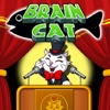 Brain Cat