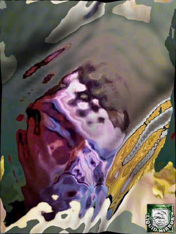 Screenshot #3 for Liquid Mirror - Liquify Your Camera!