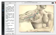 Surgical Anatomy - Premium Edition iphone bilder 1