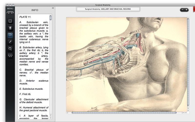 surgical anatomy - premium edition iphone screenshot 2