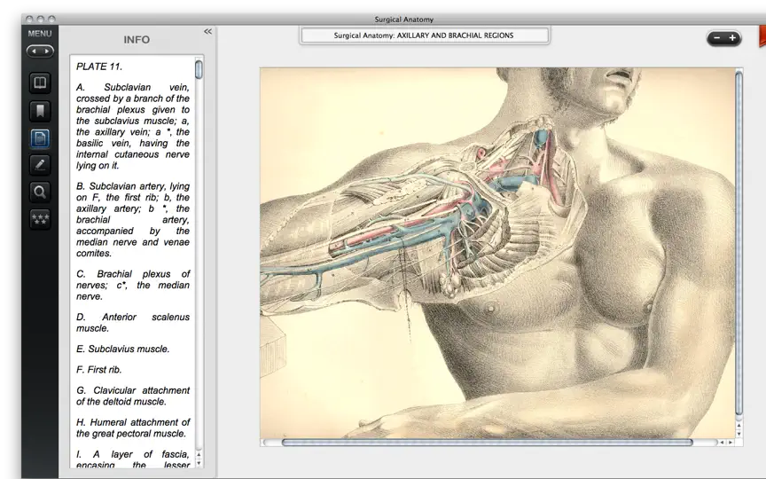 Скриншот Surgical Anatomy - Premium Edition на iPhone 2