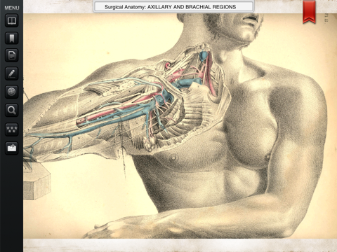 Surgical Anatomy - Student Edition screenshot 2