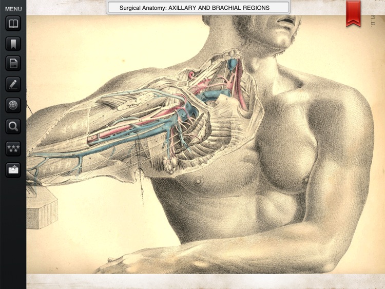 Surgical Anatomy - Student Edition