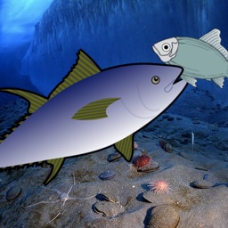 Fish Feast