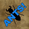 ANTS!