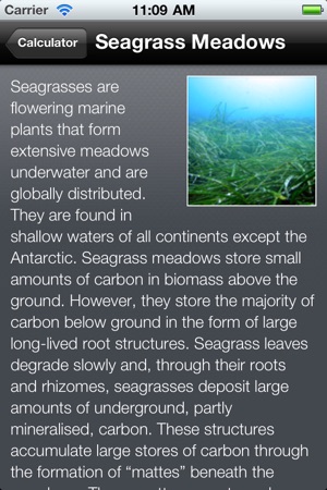 UNEP Carbon Calculator(圖4)-速報App