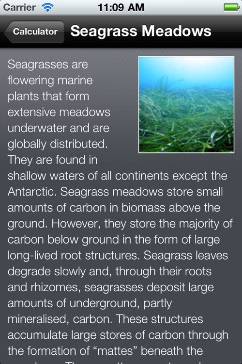 UNEP Carbon Calculator screenshot-3