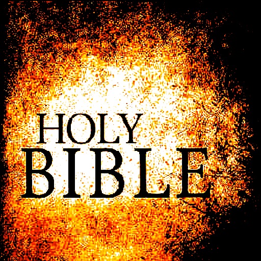 Bible and Daily Promise app icon