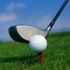 Perfect Swing Lessons HD