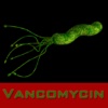 Vancomycin