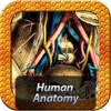 Human Anatomy TH