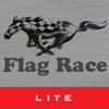 Flag Race