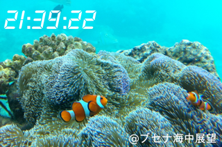Okinawa Clock screenshot