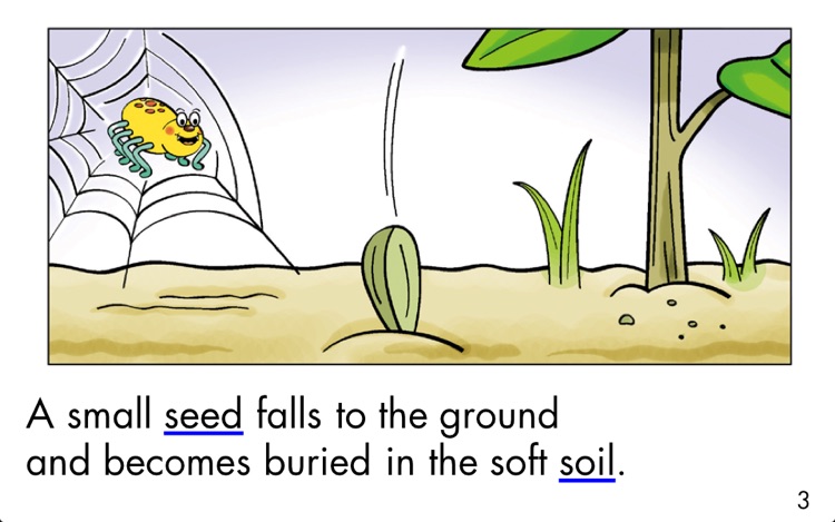 A Seed Grows - LAZ Reader [Level G–first grade]