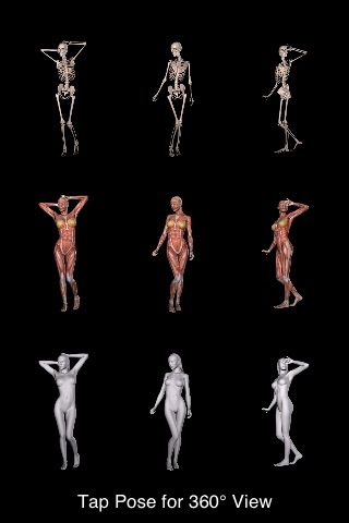 360 Anatomy for Artists - Standing Figure screenshot-4