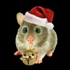 Hamster Holidays