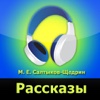 М. Е. Салтыков-Щедрин, Рассказы (аудиокнига)