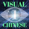 Visual Chinese Vol.1