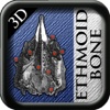 Ethimoid Bone 3D
