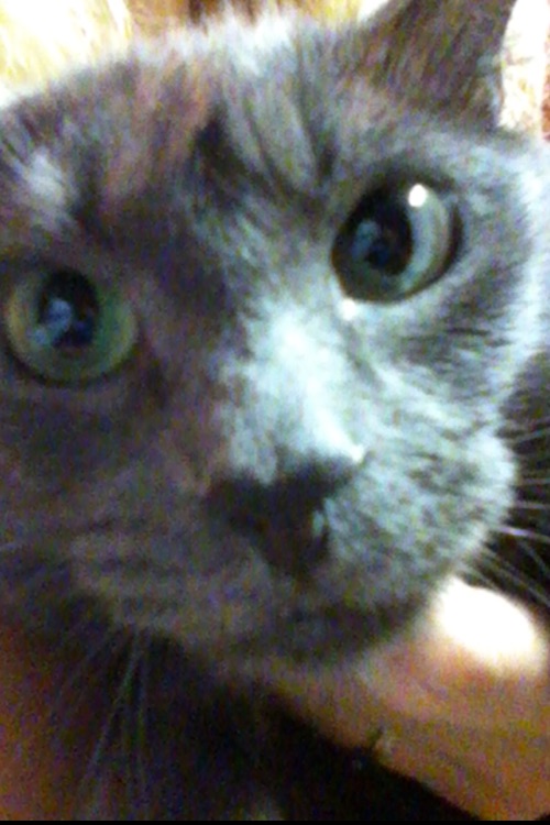 Basic Mirror for iPhone 4