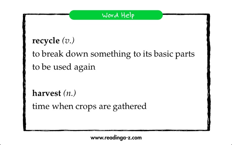 Landon’s Pumpkins - LAZ Reader [Level P–second grade]