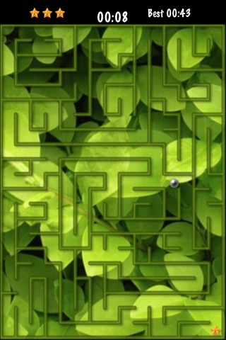 Infinite Maze screenshot 1