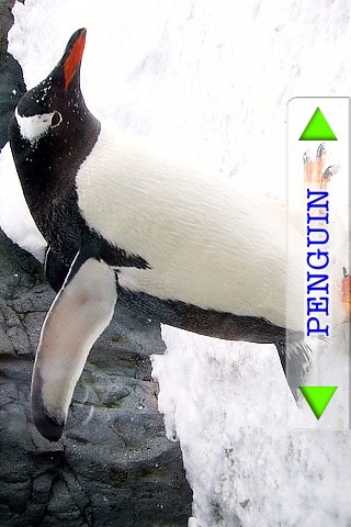 Toddler Tapping Zoo: Animal Sights and Sounds screenshot-3