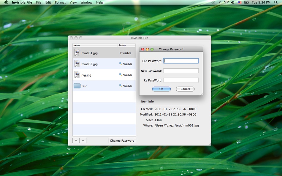 #2. InvisibleFile (macOS) بواسطة: Suzhou Totoro Network Technology Co., Ltd.