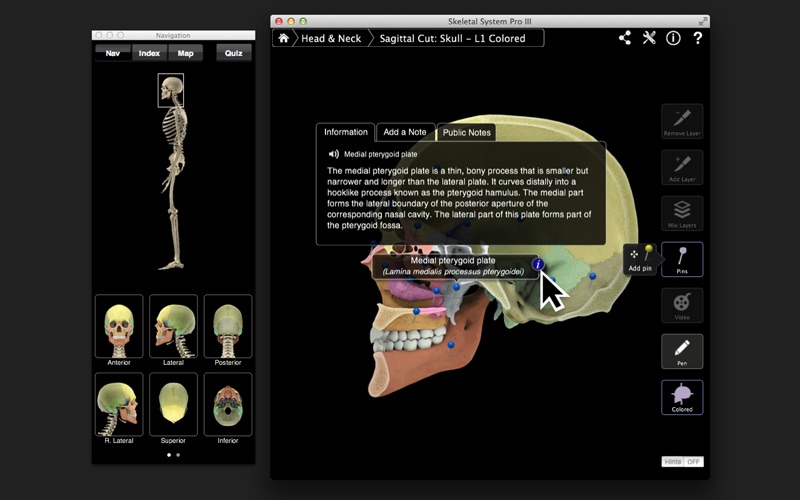skeletal system pro iii iphone screenshot 3