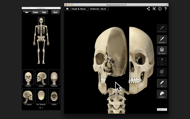 Screenshot #1 pour Skeletal System Pro III