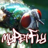 My Pet Fly