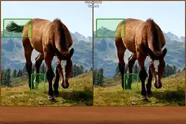 Game screenshot Horses Spot the Difference apk