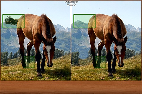 Horses Spot the Difference screenshot 2