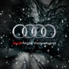 Audi Night Vision