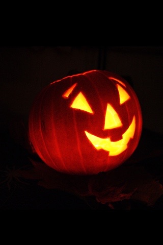 Cool Flashlight Free