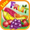 Fruits Memory Game lite