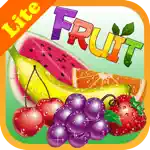 Fruits Memory Game lite App Contact
