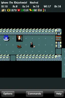 NetHack screenshot 4