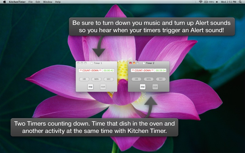 Screenshot #2 pour Kitchen Timer