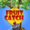 Fruit Catch