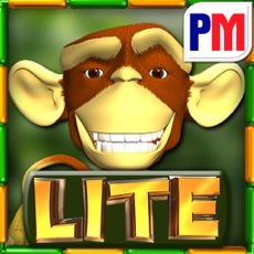 Activities of Monkey Money Slots LITE