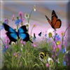 ButterflyWallpapers
