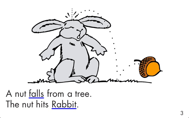 The Sky is Falling - LAZ Reader [Level D–first grade]