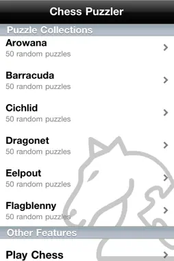 Chess Puzzler screenshot 4