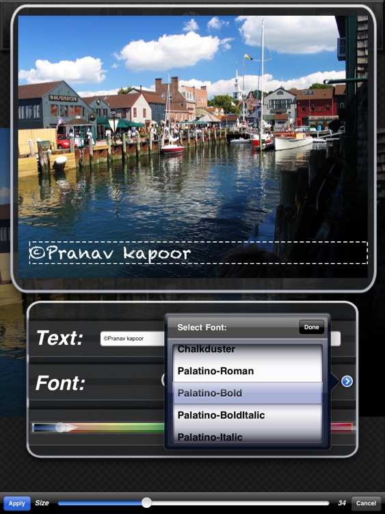Iris Photo Suite for iPad screenshot-4