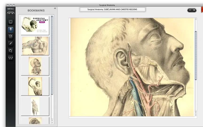 Скриншот Surgical Anatomy - Premium Edition на iPhone 5